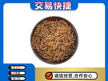 繁峙县高价回收散虫草